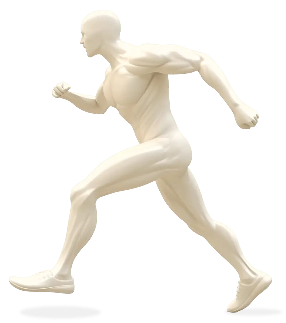 Body model showing the orthopedic and neurological areas we treat